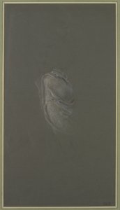 Drapery Study for 